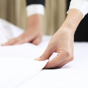 Trust Premium Cotton Fabric